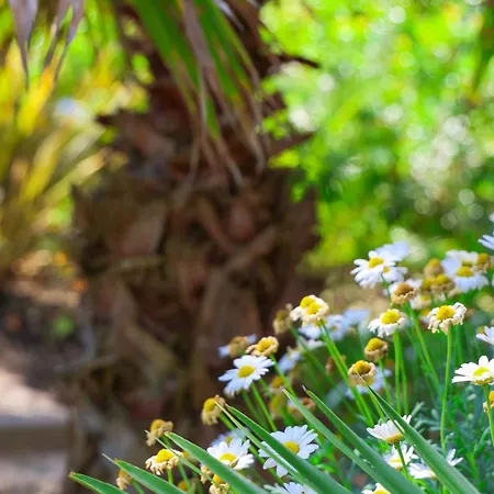 L'oceanaise Soulac-sur-Mer