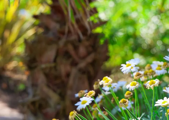L'oceanaise Soulac-sur-Mer